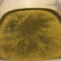 Mrs. Nice Guy Made Some Weed Butter-media-8