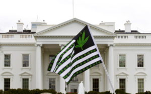 FILE - In this April 2, 2016 file photo, a demonstrator waves a flag with marijuana leaves on it during a protest calling for the legalization of marijuana, outside of the White House in Washington. Six states that allow marijuana use have legal tests for driving while impaired by the drug that have no scientific basis, according to a study by the nation?s largest automobile club that calls for scrapping those laws. ( AP Photo/Jose Luis Magana, File)