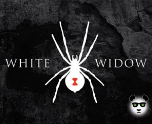 white-widow381x312