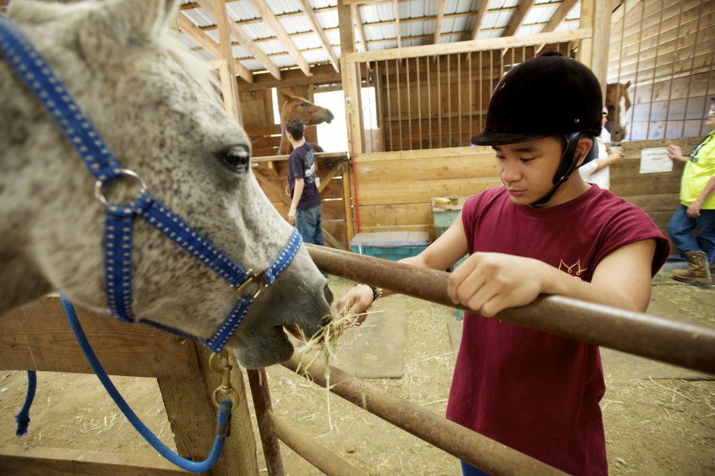 (J.J. Macaraeg, 17, from Seattle, tends to horses at Daybreak Youth Services Horse Ranch in Battle Ground, Friday, September 5, 2014. -Steven Lane/The Columbian)