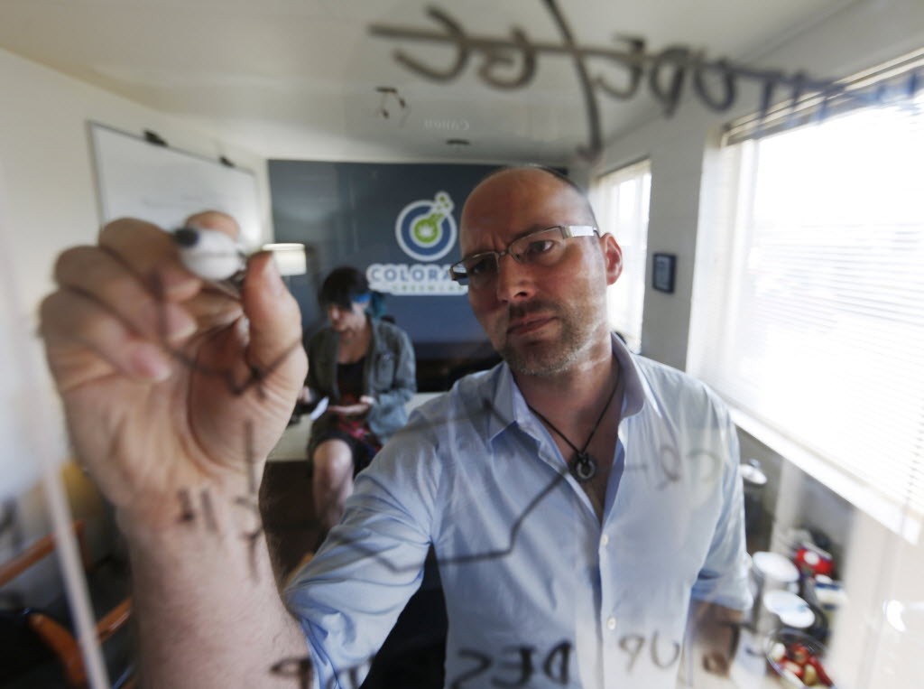 In this Wednesday, June 17, 2015 photo, Frank Conrad, head of pot-testing lab Colorado Green Lab, charts potency levels of marijuana while his co-worker, Cindy Blair, works behind, at the lab in Denver. In states that regulate marijuana, officials are just starting to draft rules governing safe levels of chemicals. (AP Photo/David Zalubowski) 