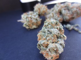 Strain Review: Peaches by Burning Tree-media-6
