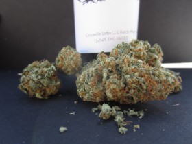 Strain Review: Peaches by Burning Tree-media-5