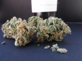 Strain Review: Tangie Banana Surprise by Burning Tree-media-3