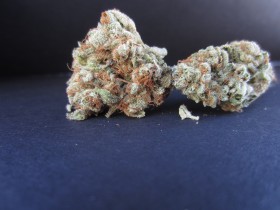 Strain Review: Bruce Banner #3 by Braveheart 420-media-6