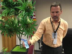 Todd Golden, associate director of Metrc, displays a tracking tag that can be scanned by radio frequency identification devices, on an artificial marijuana plant at the Oregon Liquor Commission offices in Portland. (Andrew Selsky/Associated Press)